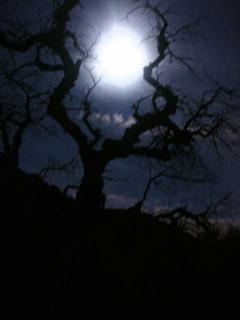 Click on picture to enlarge image (product Id 0531moonrise).