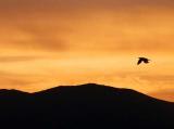 id: 0527sunrise image: 0527sunrise.jpg