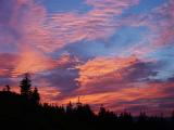 id: 0731pinksunrise image: 0731pinksunrise.jpg