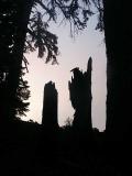id: 0806stumps image: 0806stumps.jpg