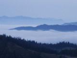 id: 0915fog image: 0915fog.jpg