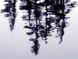 id: 0921reflection image: 0921reflection.jpg