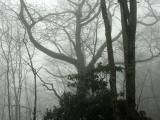 id: bart029 image: DSCN5678.jpg