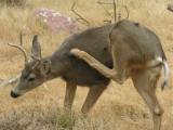 id: gc016 image: DSCN6794.jpg