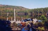 id: at010 image: at10-944-05pond.jpg